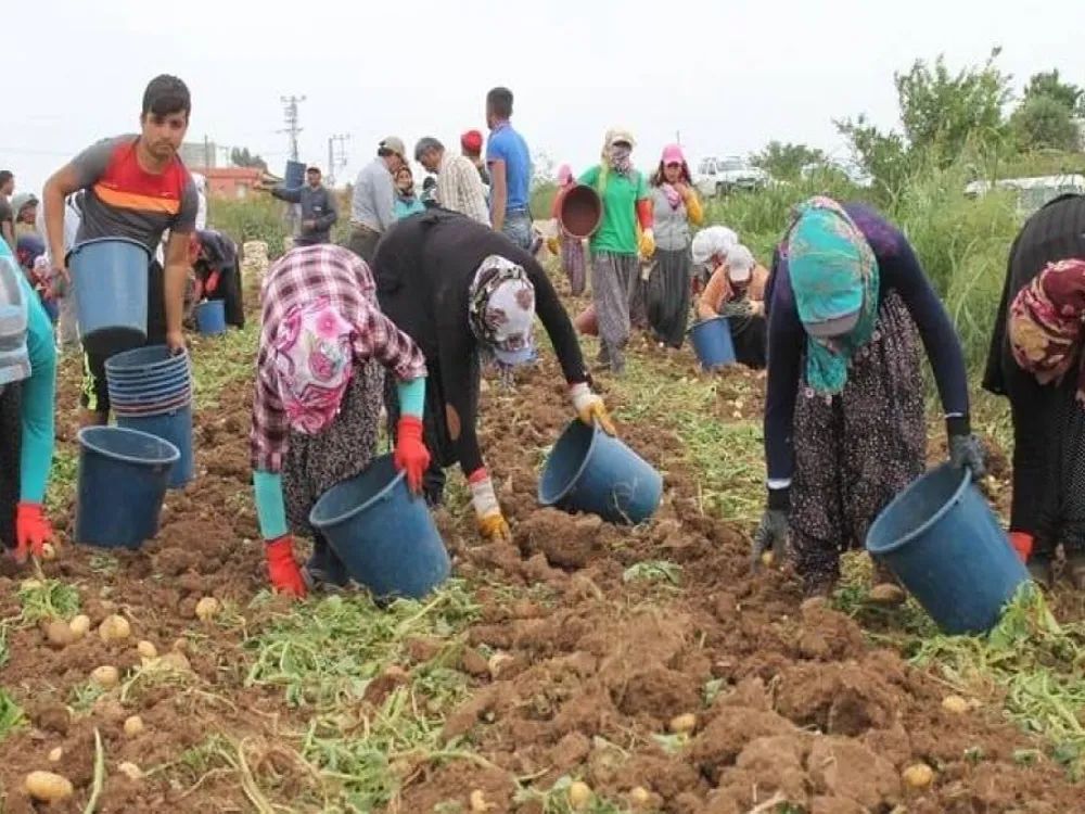 Köye Dönüş Fırsatı: Hibe Yağmuru Başlıyor! 🌾 

buff.ly/CDd3xLU