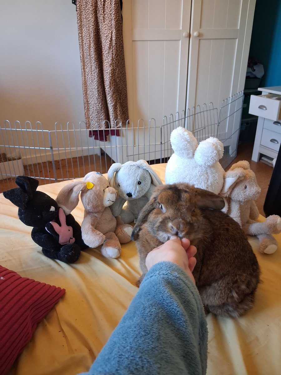 Tis generaal Mimi tegenwoordig btw