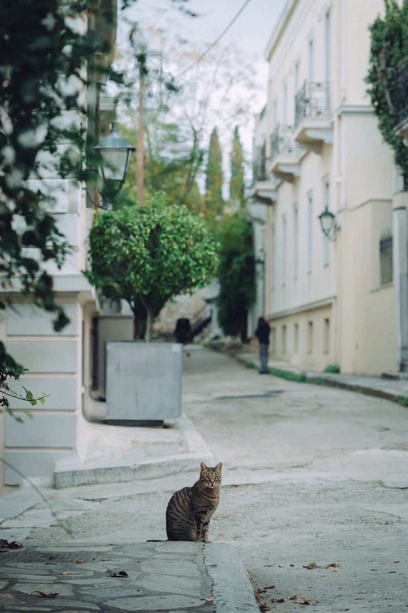 note連載「すべては距離感である」（31）
「私の写真修行」
2日間でこれまでで最も多くの方に読んで頂いています。ありがとうございます。
note.com/icitomohiko/n/…