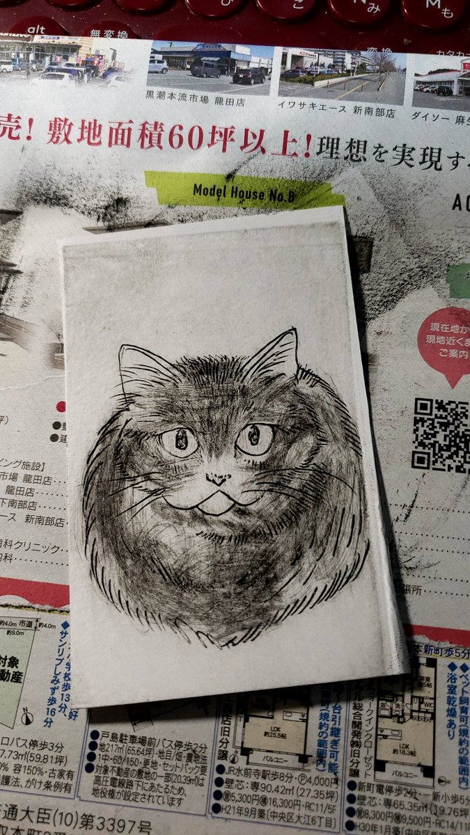 キノコファクトリー（くさもときのこ） on X