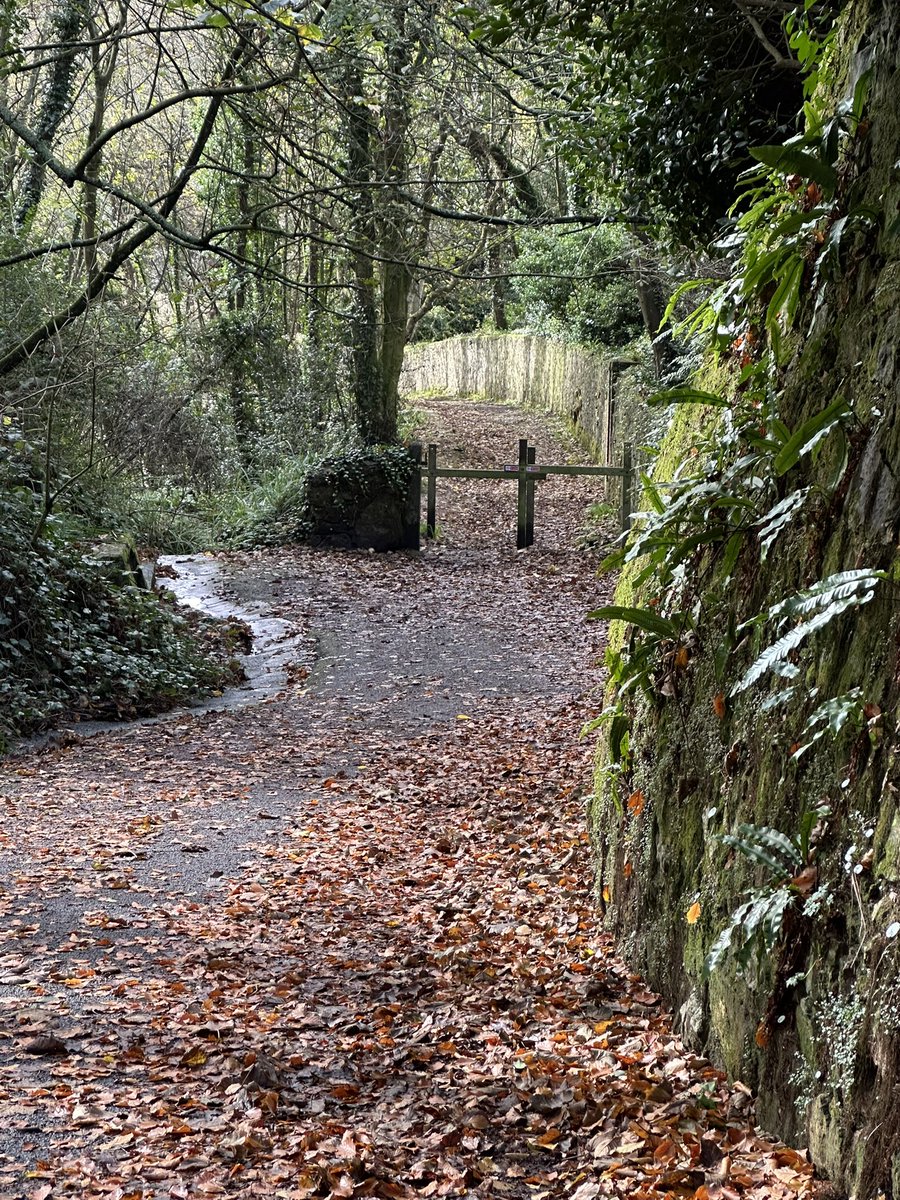 gnsymutterings's tweet image. #seaswimming and walking had my regular early Saturday swim at the horseshoe then had a walk to Moulin Huet whilst youngest was playing tennis