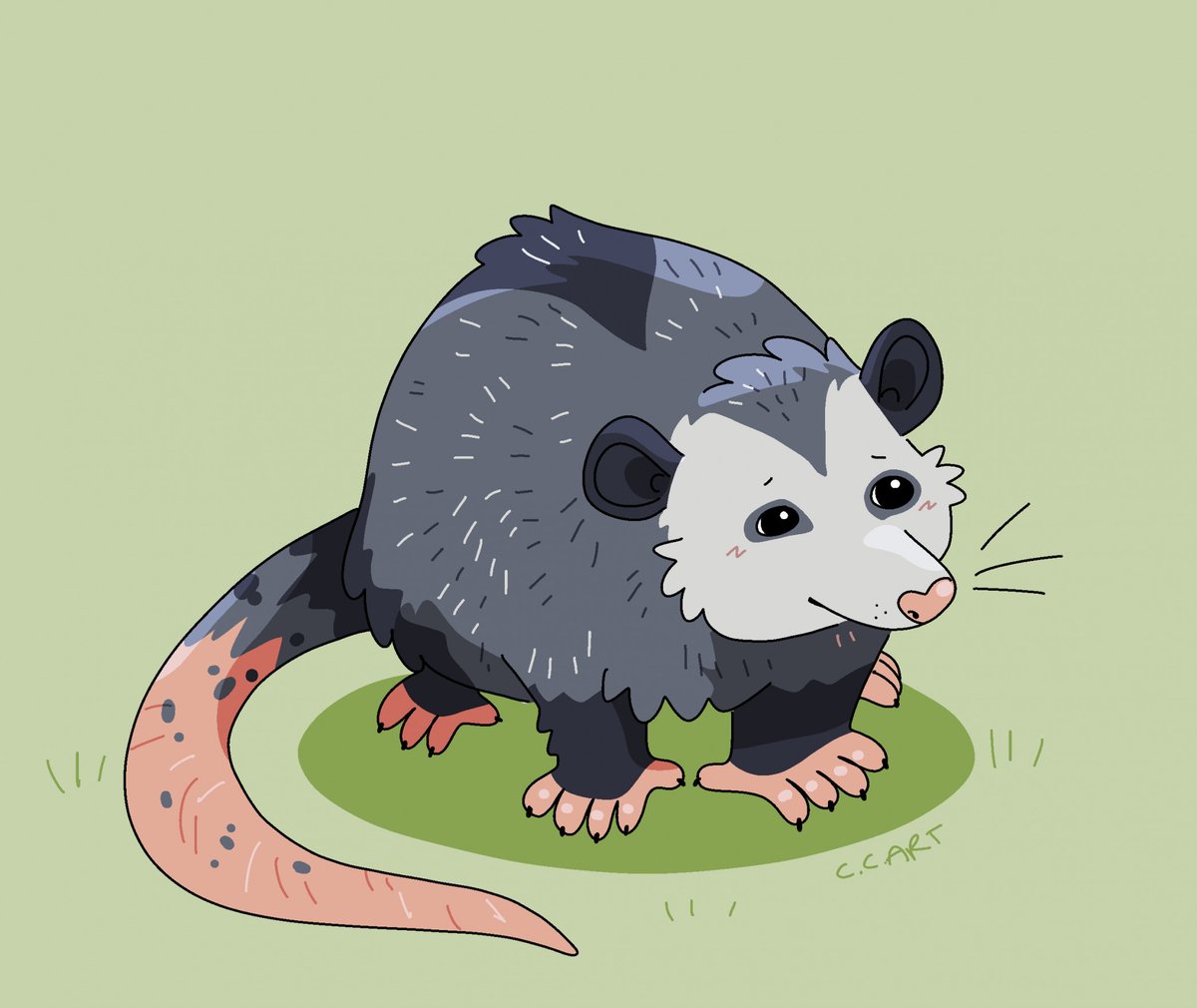 ccartstuff's tweet image. Just a little guy ~