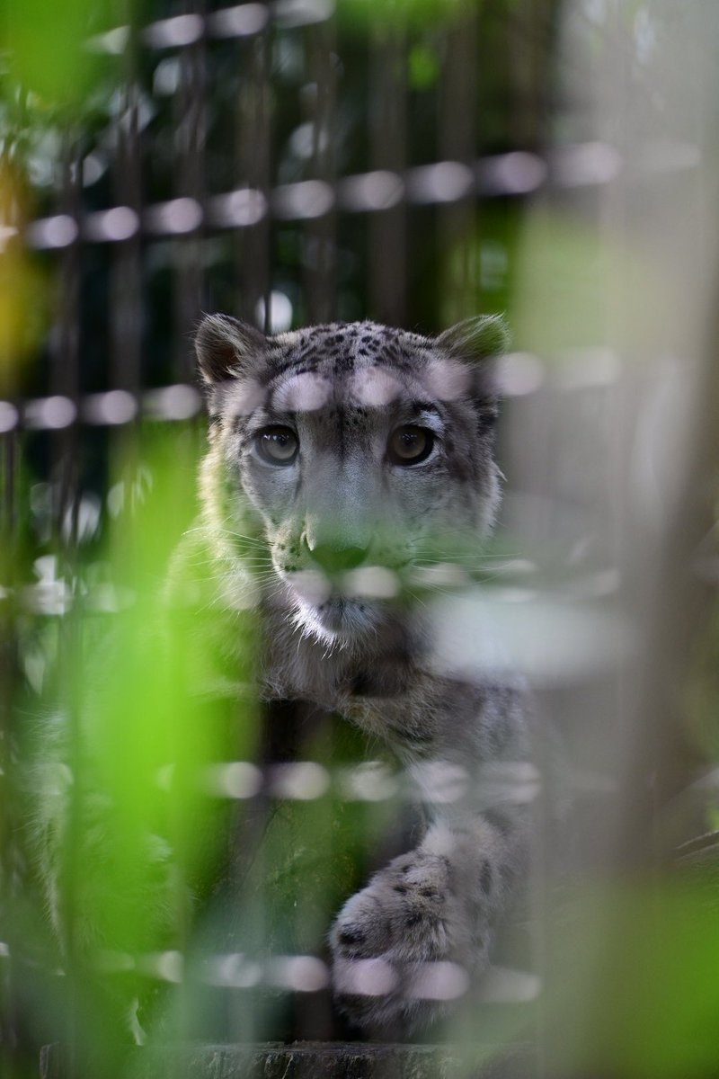 nobuharunakamura on X