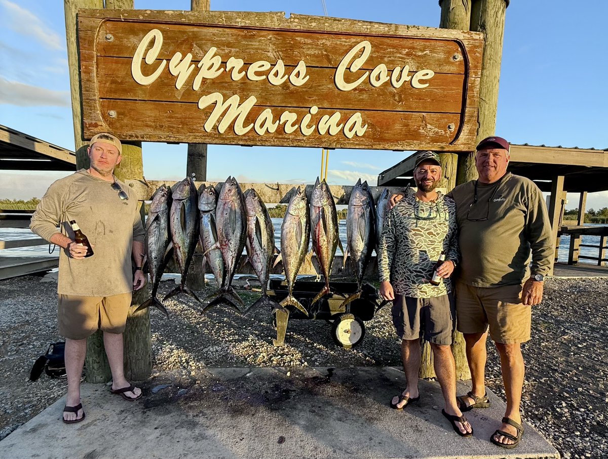 DPMSSC's tweet photo. Another great day offshore with Super Strike Charters in Venice, LA! 💪 The crew loaded up on Yellowfin Tuna under perfect Gulf conditions. 🎣 November fishing is 🔥 — short runs, big fish, and beautiful weather!
📞 985-640-0772
#VeniceLA #TunaFishing #SuperStrikeCharters https://t.co/TME6NJBNG3
