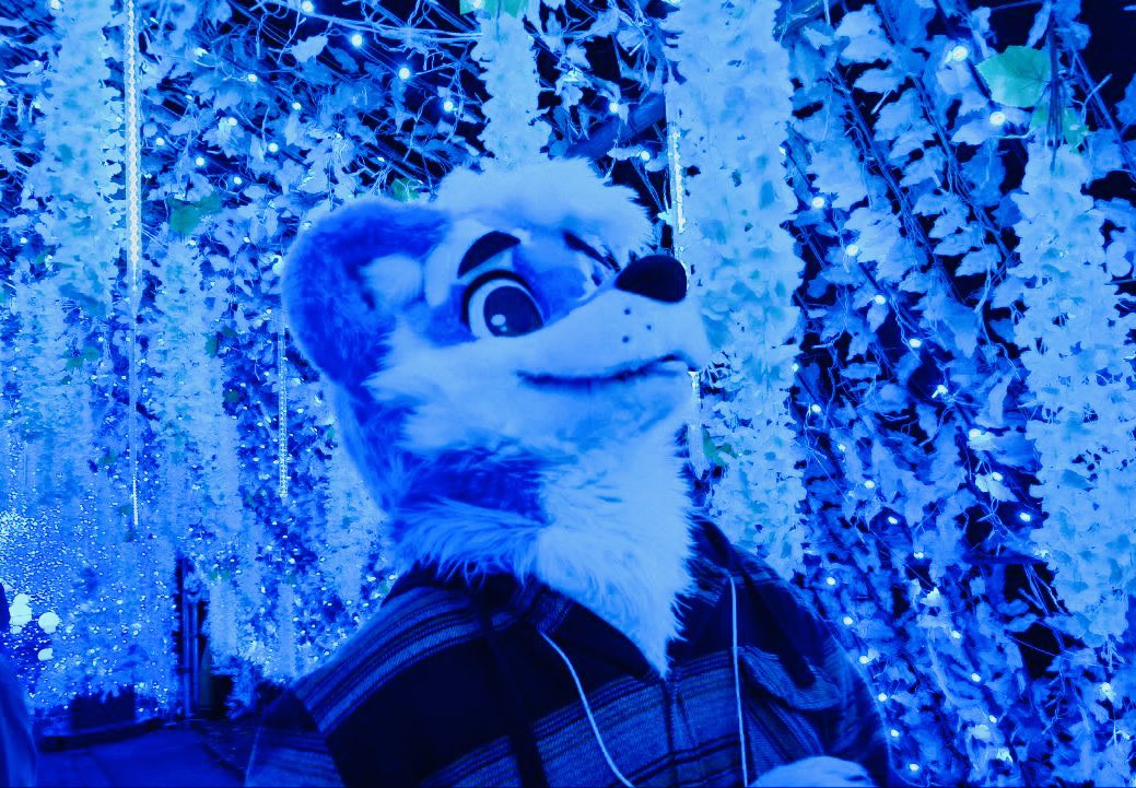 Kumo Otter tweet media