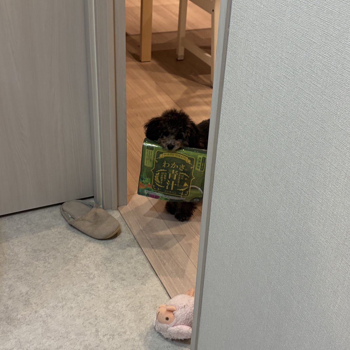 いぬ、ししおうまる on X