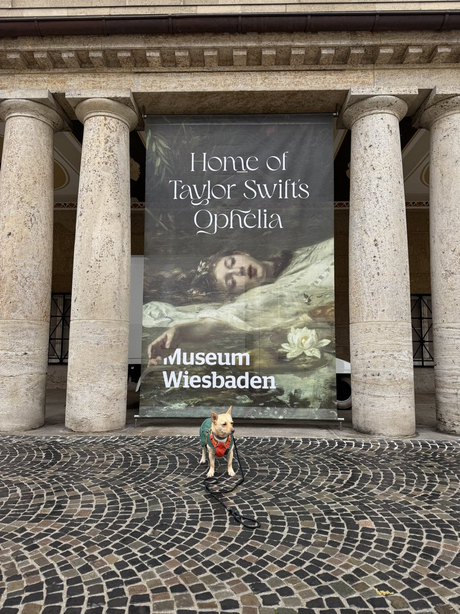 Does diz make me a #swiftie? Please: <a href="/Vinnie958269385/">Vinnie The Fierce Zombie Hunter 🧌</a> and his Mom Marilyn need our help to make rent and utilities. Every bit counts! PayPal.me/bellaandvinnie #taylorswift #ophelia #Swifties