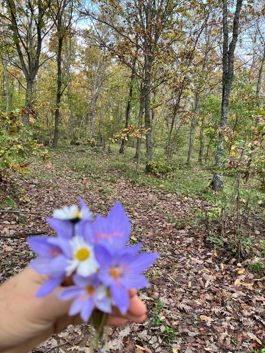 Hande Hakan tweet media