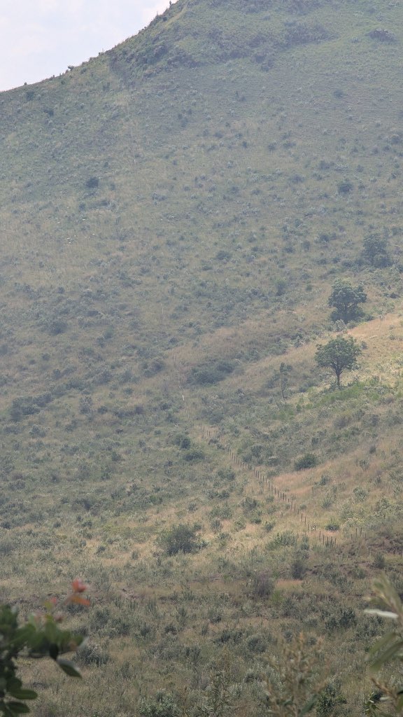 Mzee Chacha 🇰🇪 🇺🇸 tweet media