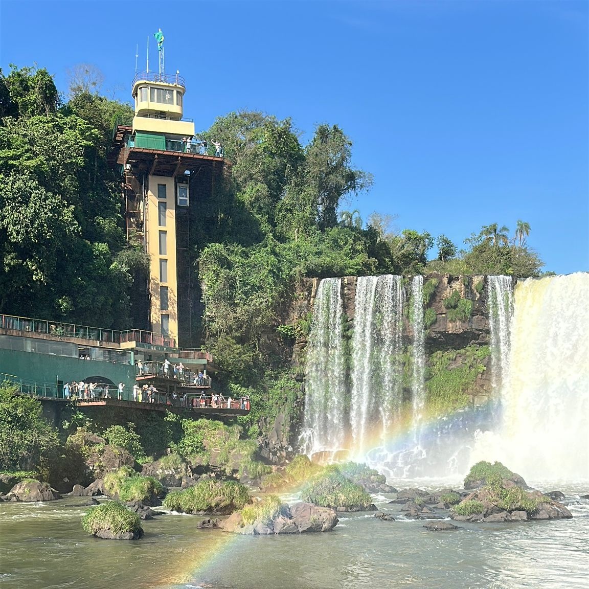 DharmaDividend tweet media