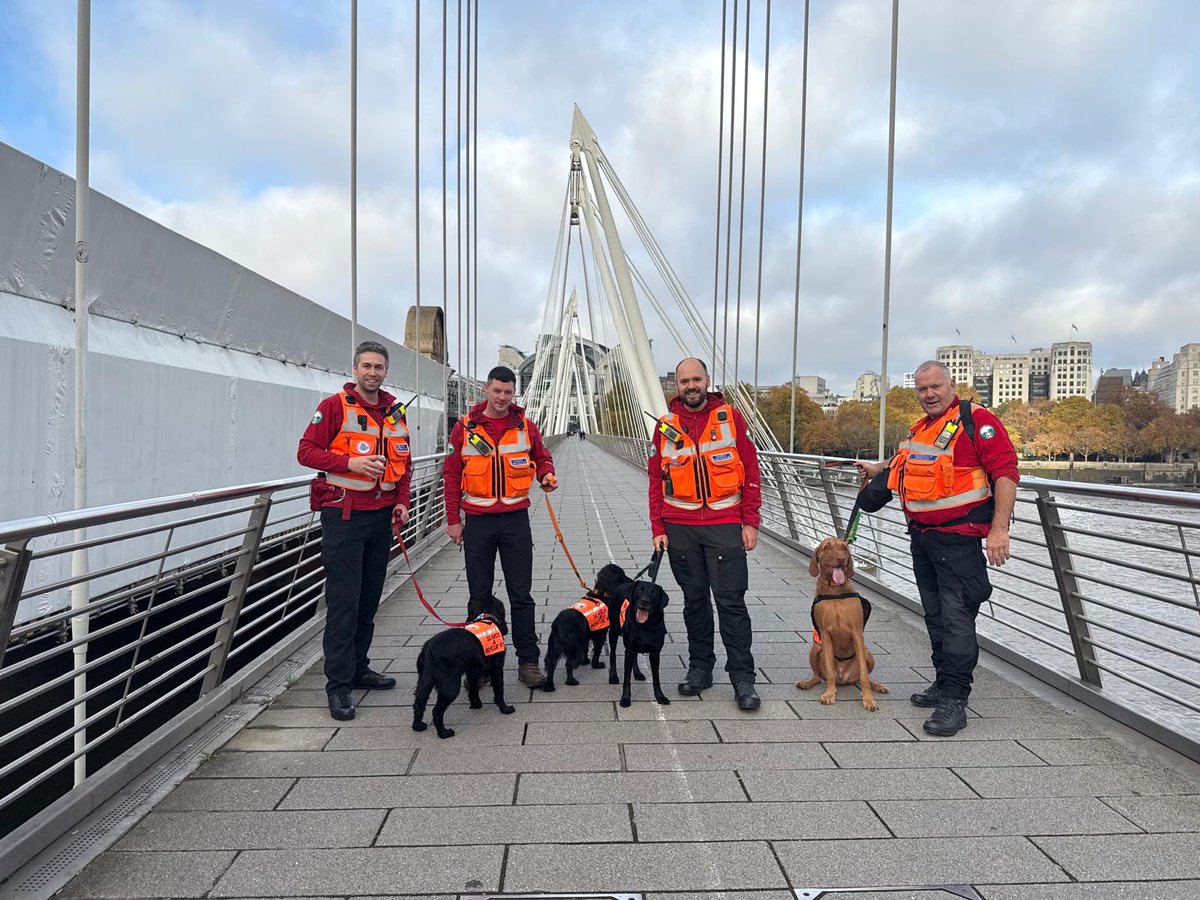 Surrey Search & Rescue (SurreySAR) tweet media