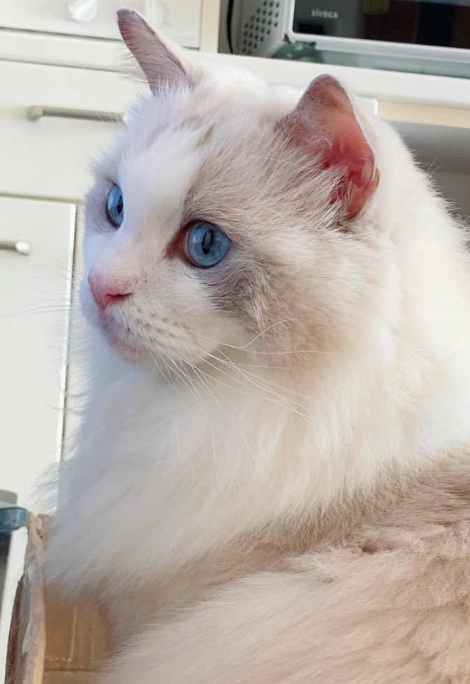 毎日一緒に過ごせる幸せ💞

出来れば長い間ずっと、一緒に居たいねえ✨