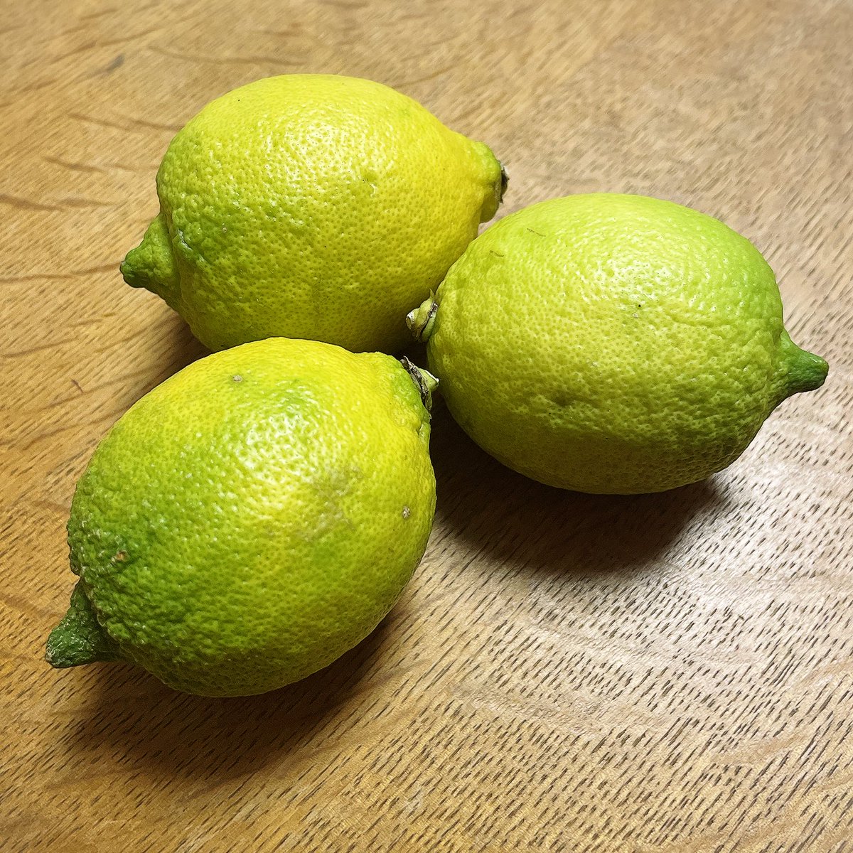 借りてる駐車場
端っこに柿の木やらみかんの木なんかがあるんだけど、手入れに来てた大家さんに檸檬をおすそ分けしてもらいました😊
ずっとみかんの木かと思ってたら檸檬だったのかw
はちみつレモンにしようかな〜