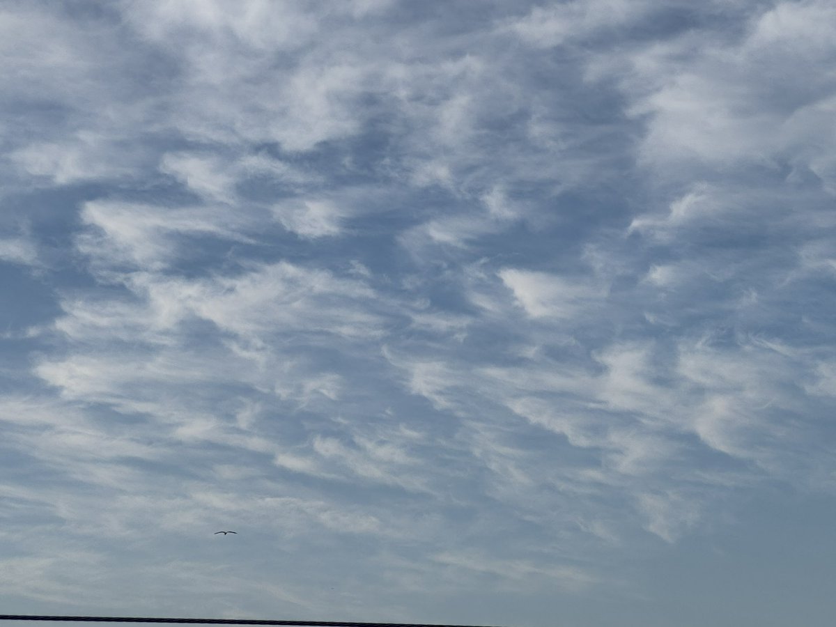 今朝空です♬︎♡
今朝もダイナミックな空が見えました😊☁️