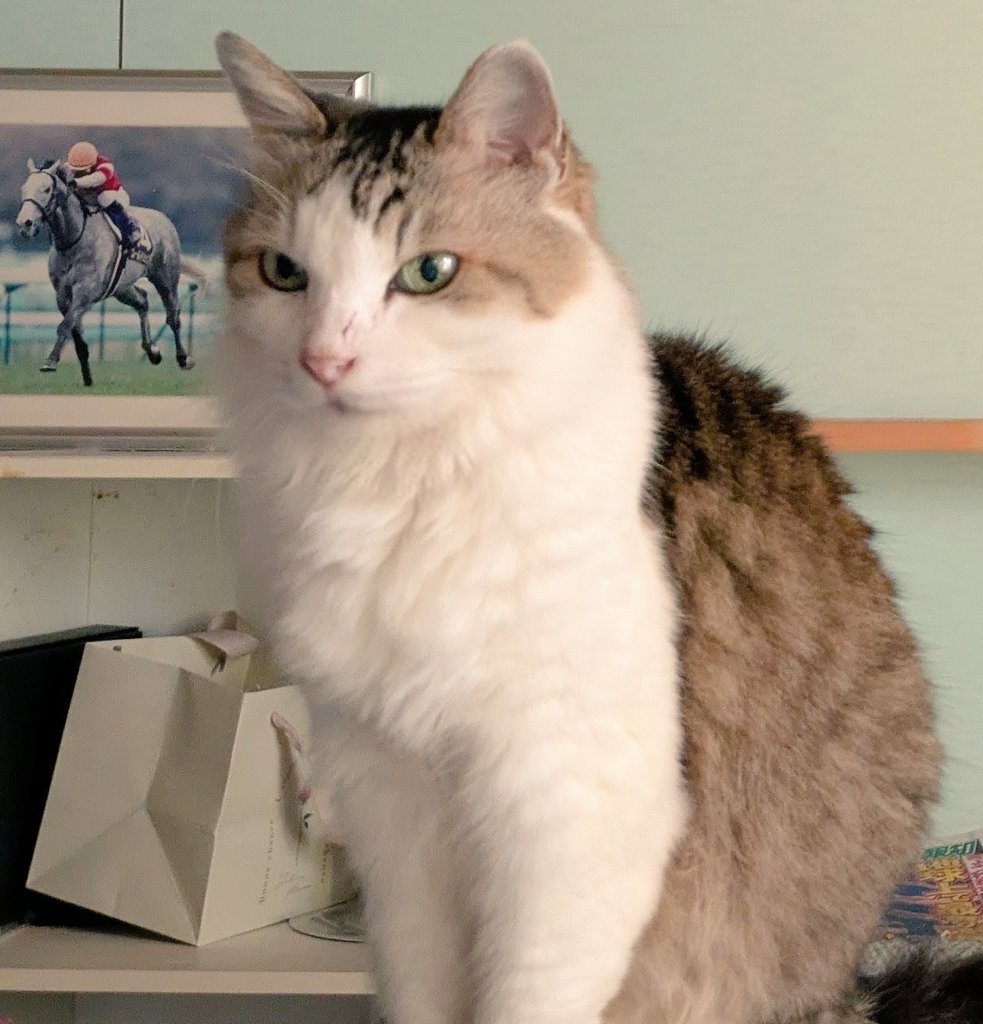 みわ みぞおち (@2610Am) / Posts / X