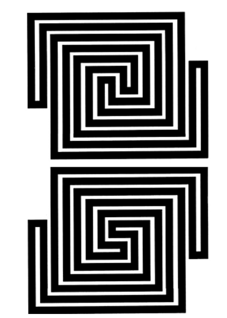 Maxim Leopold tweet media