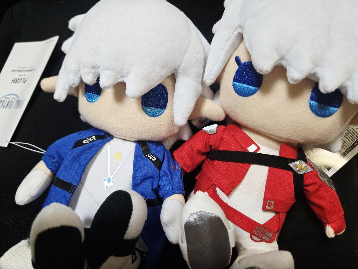 ninokin_FF's tweet photo. アルフィノアリゼー届いた！
かわいすぎるーーーー！！！！ﾑｼｬ https://t.co/yZHdlxJc00