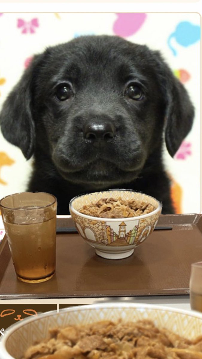 ハッピーパパ（hhyouki） on X