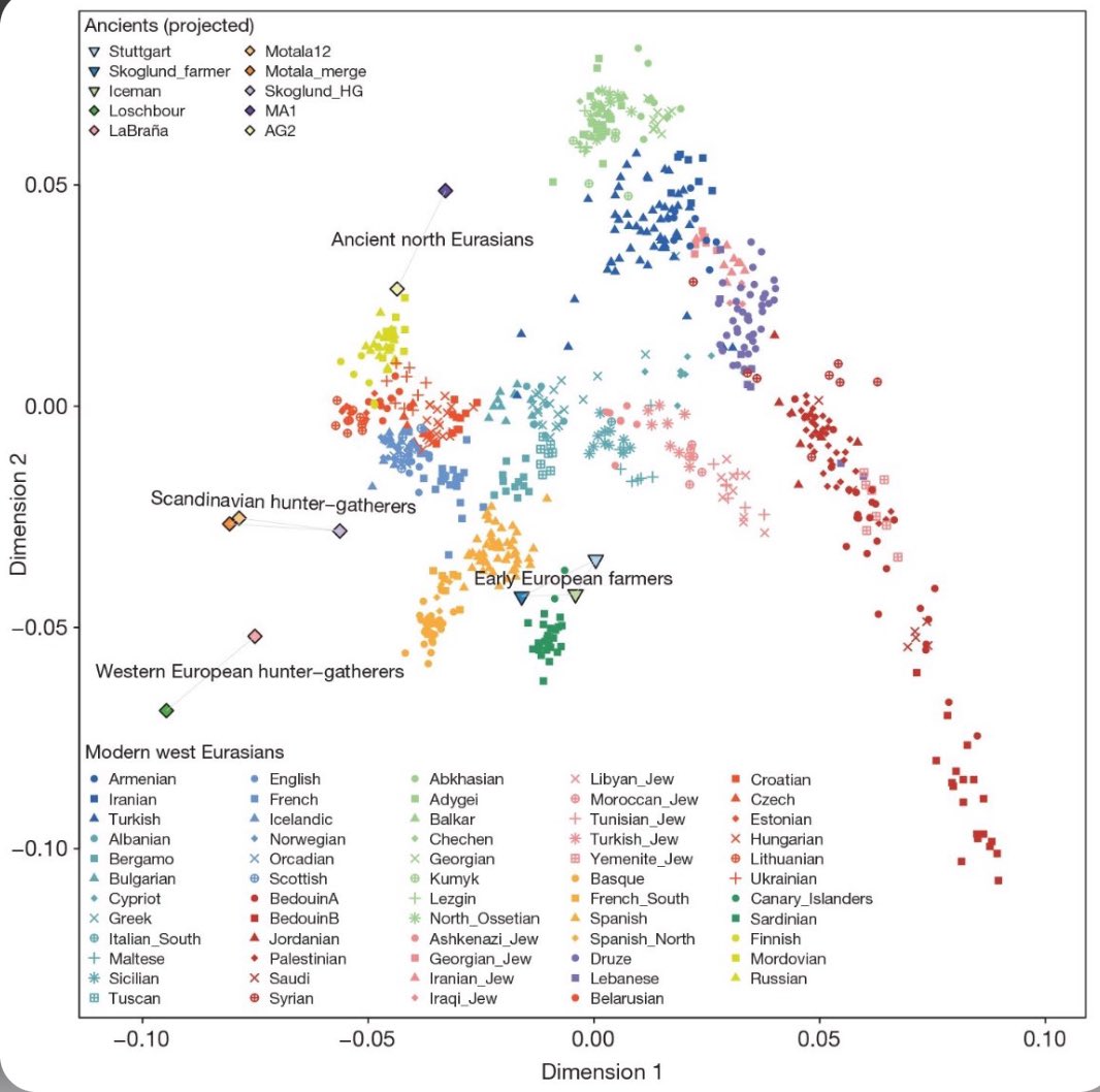 siege145's tweet image. Europe’s deep genetic heritage — the echoes of ancient hunters, farmers, and steppe peoples still shape us today.