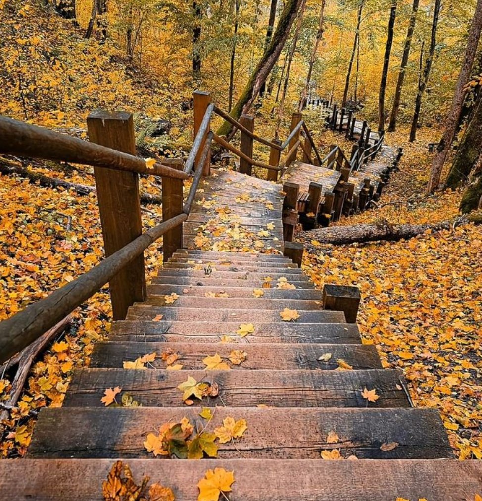 Güzel niyetlerle, çiçekli yollar aramak varken, 
Neden Yolu yokuşa süreriz ki !!

#cumartesi