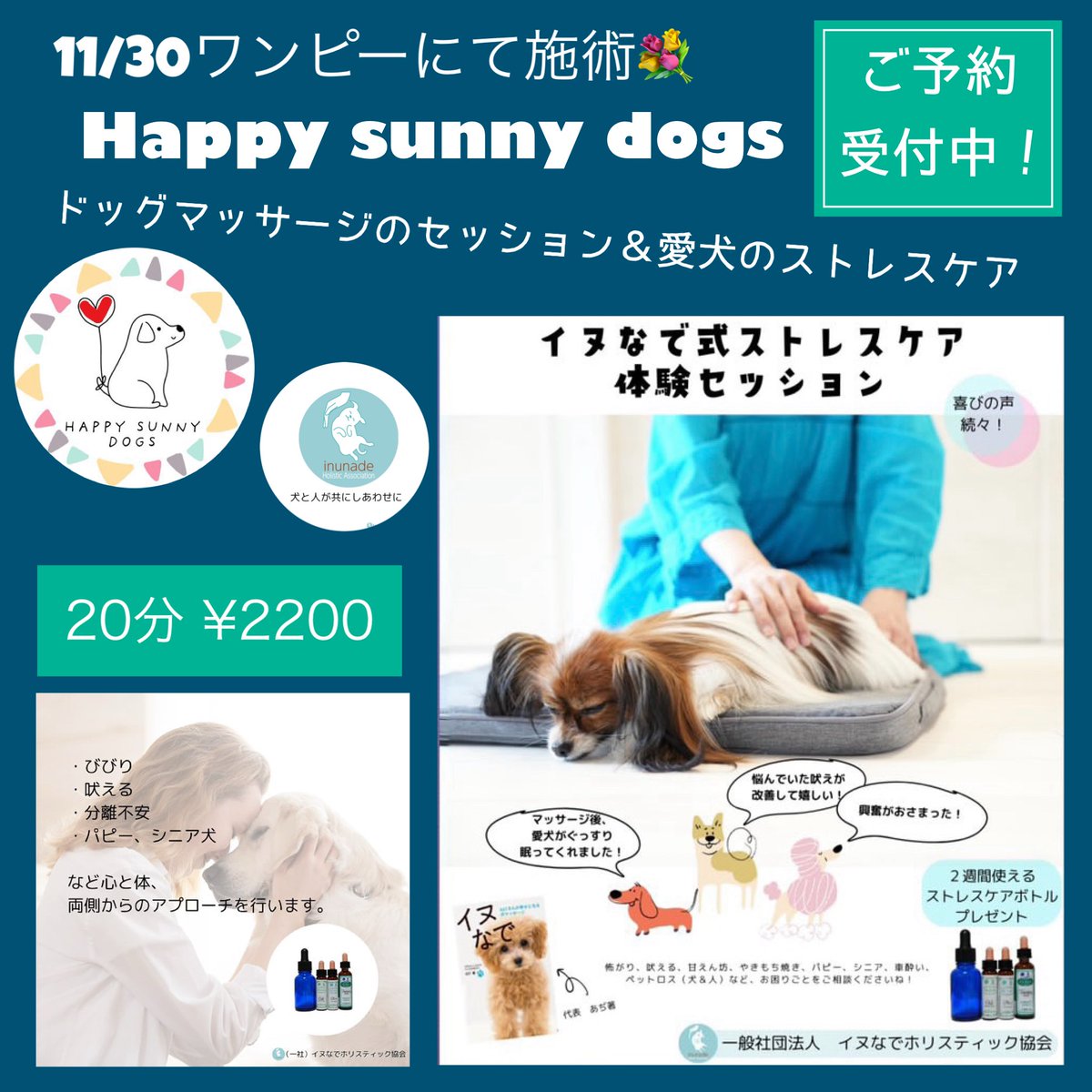 ドッグ・マッサージ 治癒から日常の健康維持、リラクセーションまで ドッグ・マッサージ 治癒から日常の健康維持、リラクセーションまで