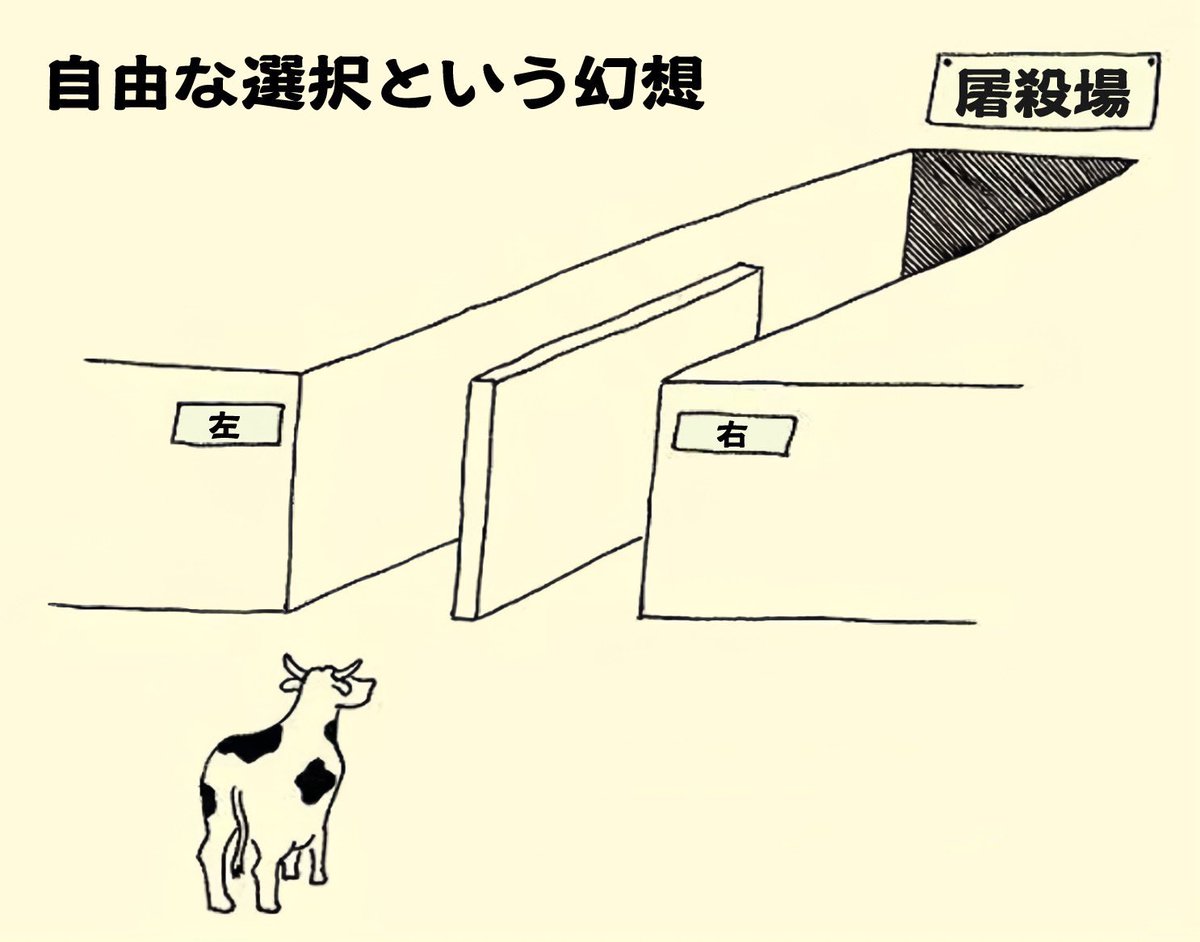 牛 帰ってきた・フライング・ヤロウ 牛 帰ってきた・フライング