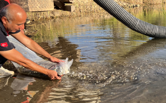 SuRehberi's tweet photo. 🆕Tunceli’de Balıklandırma Çalışmaları Devam Ediyor !
🐟🐟🐟🐟🐟
https://t.co/nni9NNn0PX
#surehberi #suürünleri #balık #balıkçılık #balıklandırma #fish #fisher #suürünlerihabersitesi https://t.co/LeUkMn4415