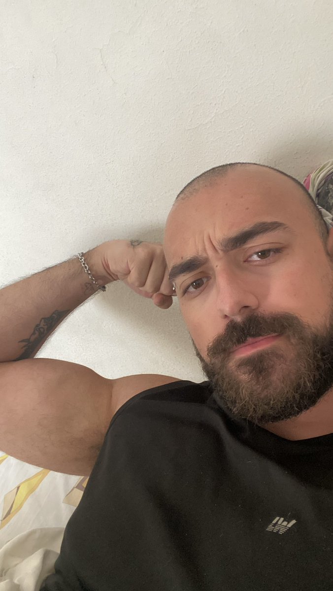 dinossauro de brinquedo tweet media