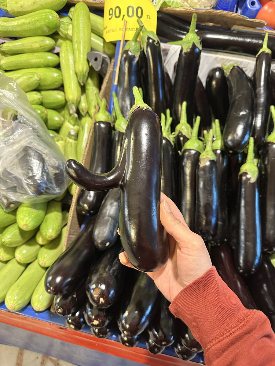 Galerici var mı acaba duvara bantla yapıştırıp milyonlar kazanmak istiyorum. En son satın alan kişi de alıp üstüne o