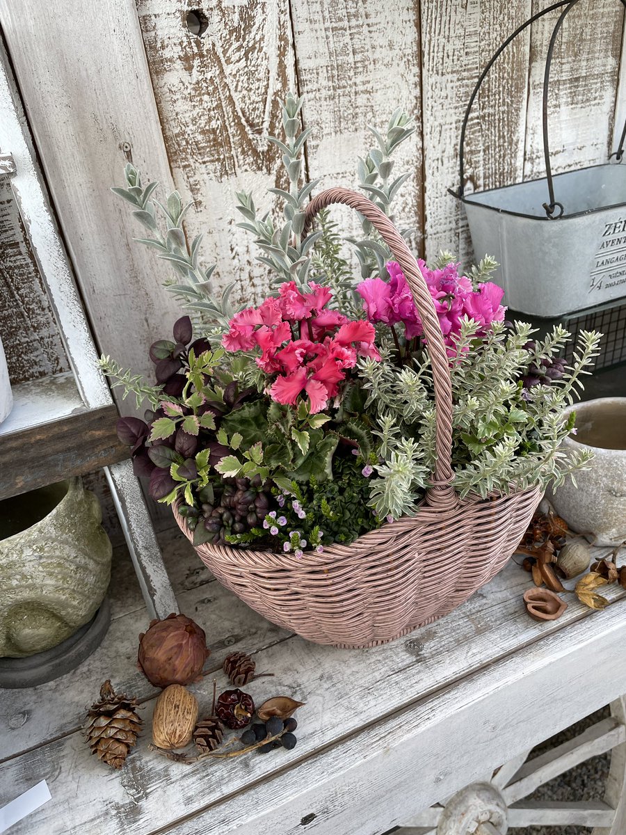 花ごころ通信【公式】 on X