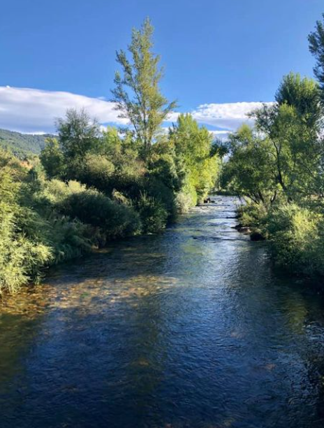 auroragvilustra's tweet photo. Un lugar en el Mundo al que volver 🌱🌿🎋🌳
#LEÓN #Leonesp #Cantabria #Galicia #Asturias #CaminodeSantiago #Esla 
Muy buen día os deseo a todos 🥰#BuenosDías https://t.co/oM6apA1Gc8