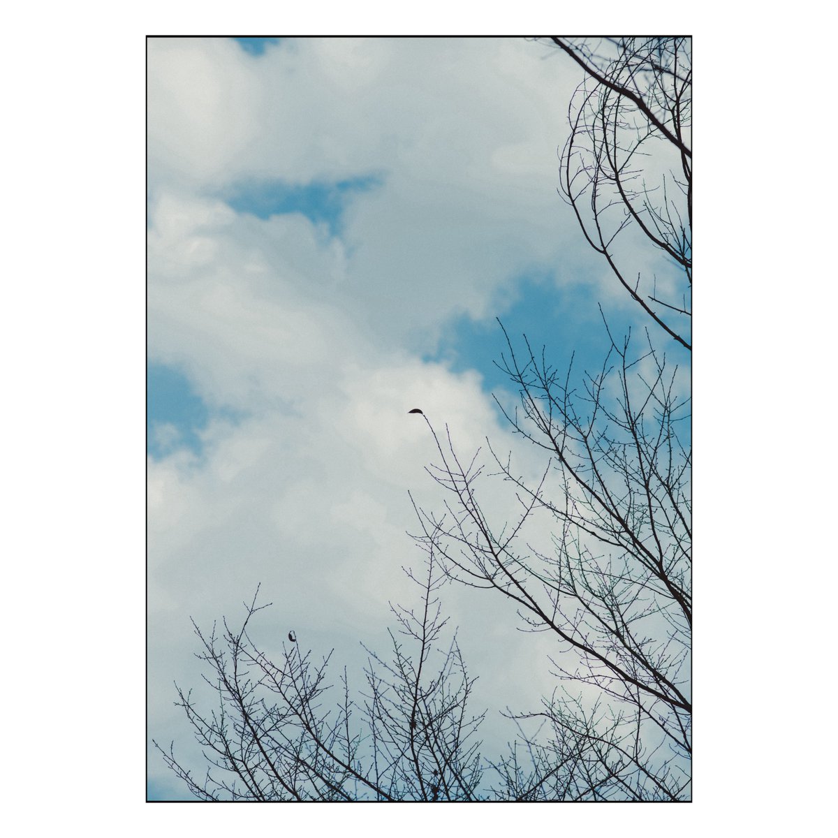 UMA｜悠真 (@uma_jpeg) on Twitter photo 