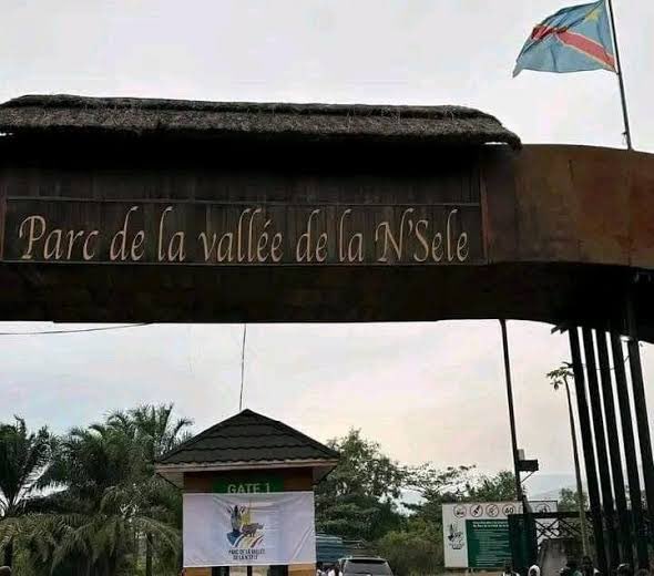 #RDC : une attaque des miliciens Mobondo fait au moins cinq morts à Kingakati situé dans la commune de #maluku à #kinshasa.

D’après actualité.cd qui cite les autorités locales, cette attaque est intervenue dans la soirée d’hier et que les victimes sont des policiers.