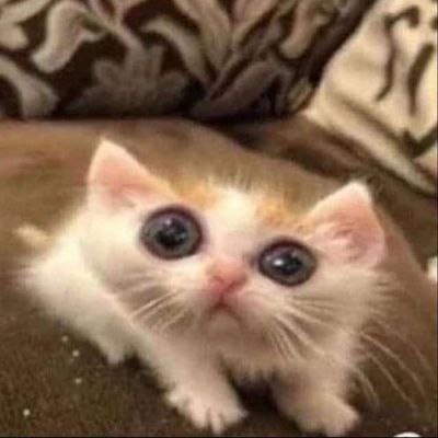 Начались репы в костюмах и мы передвигаемся между хореографическими залами в пальто потому что костюмы для ямы с возрастным цензом получились....