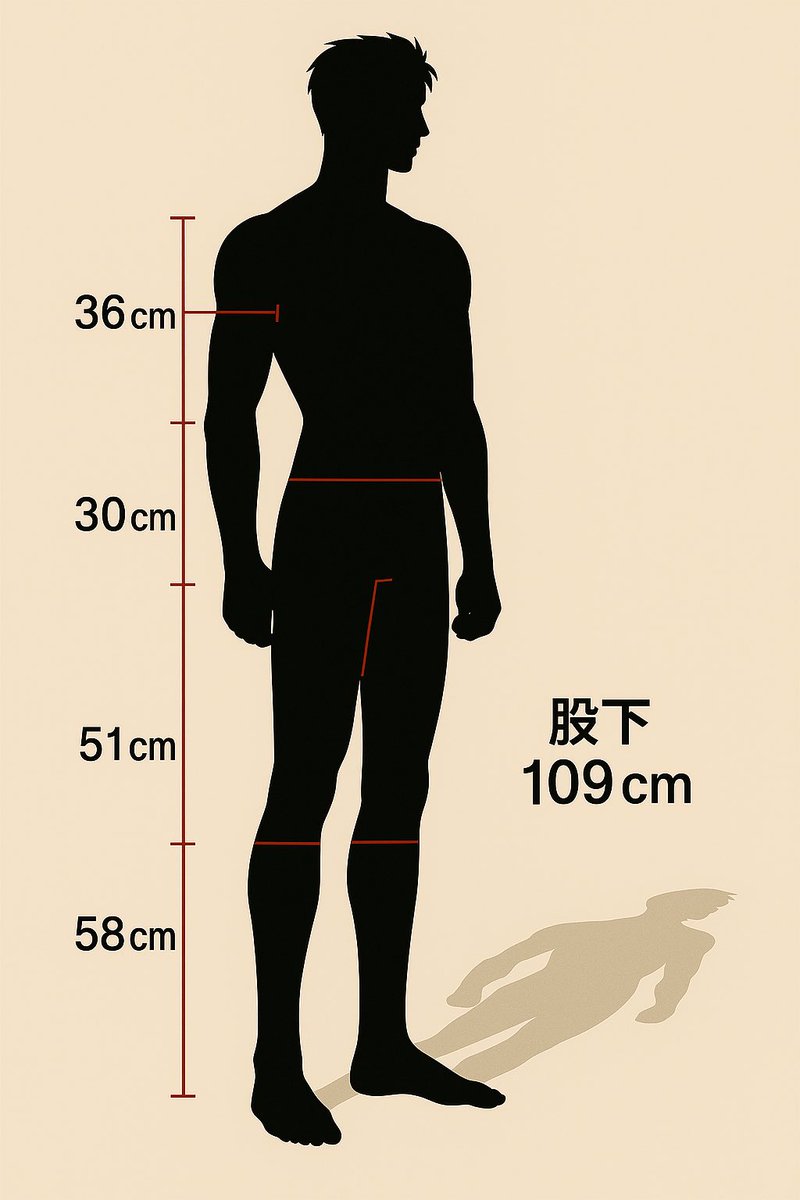 wwwwwwwwwwwwwwwwww
ダメだ笑いが止まらん😂
あらゆる文献を漁り、シンの腕の長さと足の長さを暫定しましたwwwwwwwww

肩から肘：36cm
肘から手首：30cm
股から膝：51cm
膝から足首：58cm

そこから導き出されるのは…
『股下109cm』😂😂😂😂😂😂

胸囲も109cmだけど、股下も109cm😂😂😂😂😂😂😂😂😂😂
