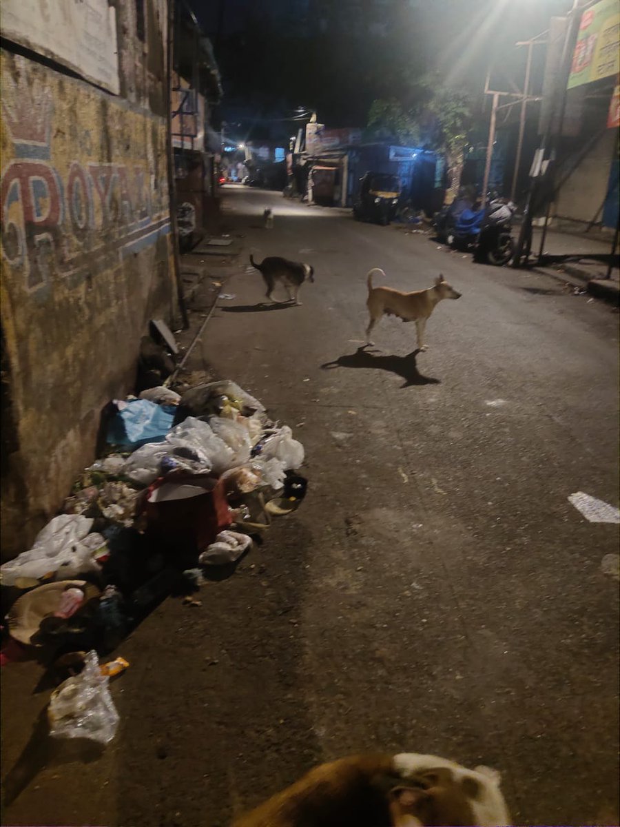 NareshBoudh3's tweet photo. @mybmc.
@AAPMumbai, @mybmcWardRS,
@MumbaiCF 

📄 BMC_Complaint_Marathi.pdf https://t.co/FmB1U1eFXn