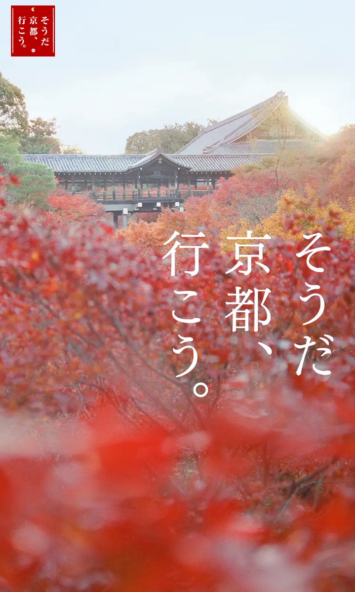 mudar_osaka's tweet photo. そうだ京都、行こう👍
と、急に紅葉を見に行こうようとのお誘いに、のってみた。
色付きはまだまだやったけど
#ドラゴンバーガー🍔
美味かった😍ご馳走様 https://t.co/zAbWCyRzeS