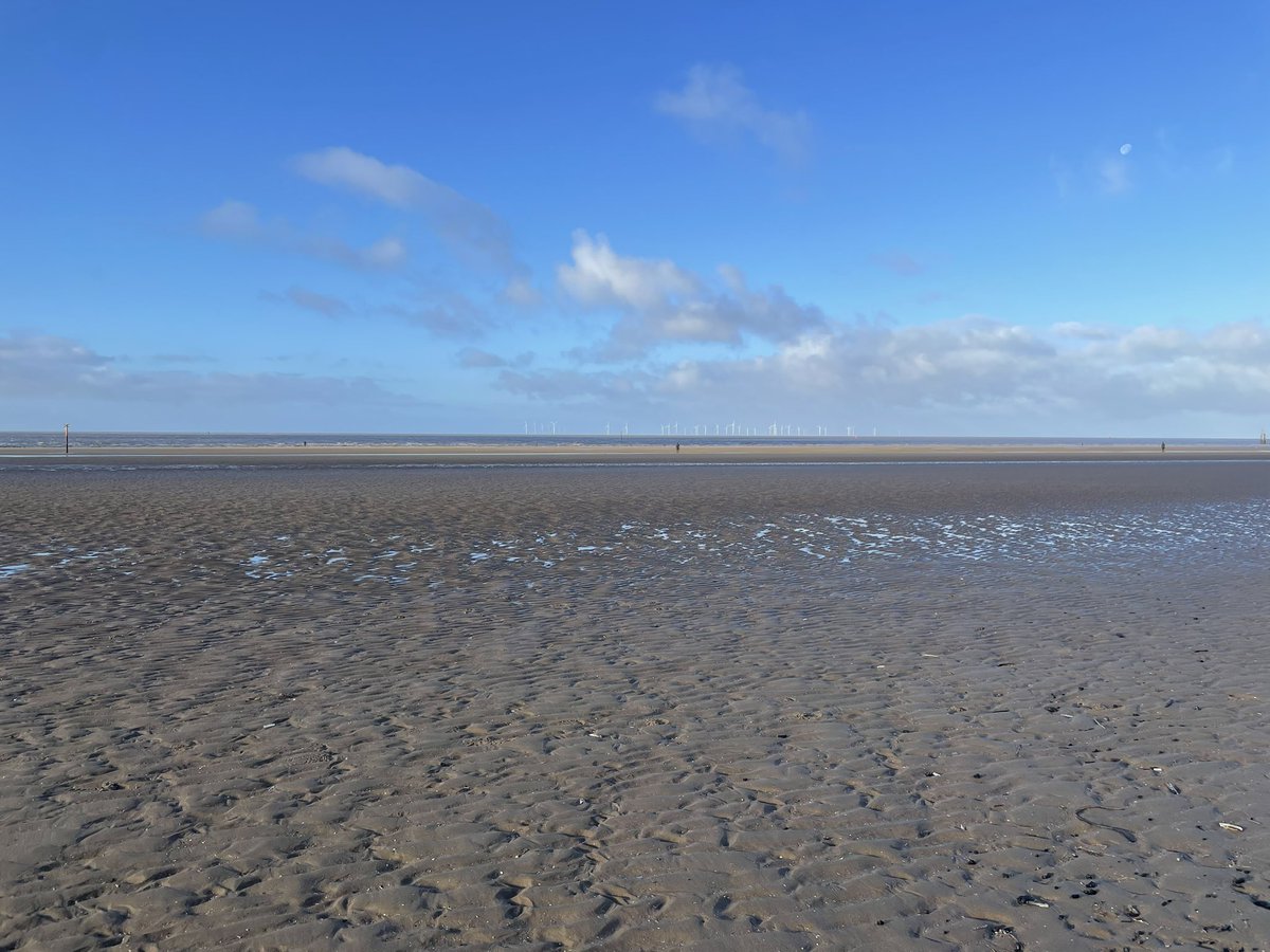 HomesChristineH's tweet image. We’ve been to the beach pals, but then we got a little overwhelmed on the way home… #Benedict #BTPosse @revdlouisjj #CrosbyBeach