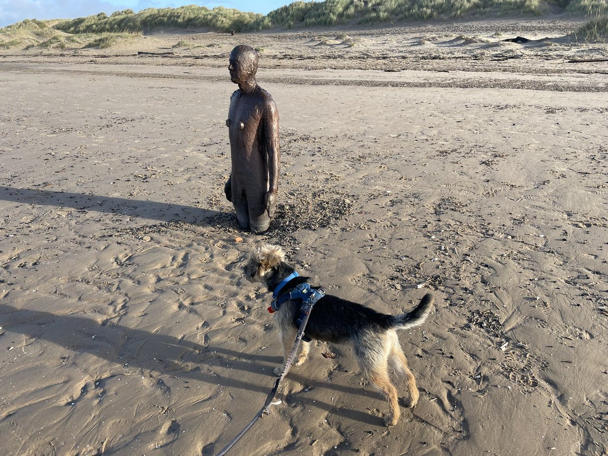HomesChristineH's tweet image. We’ve been to the beach pals, but then we got a little overwhelmed on the way home… #Benedict #BTPosse @revdlouisjj #CrosbyBeach