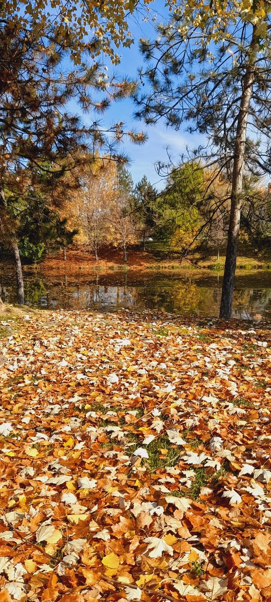 yaşamak çok güzel, paylaşınca daha da güzel...