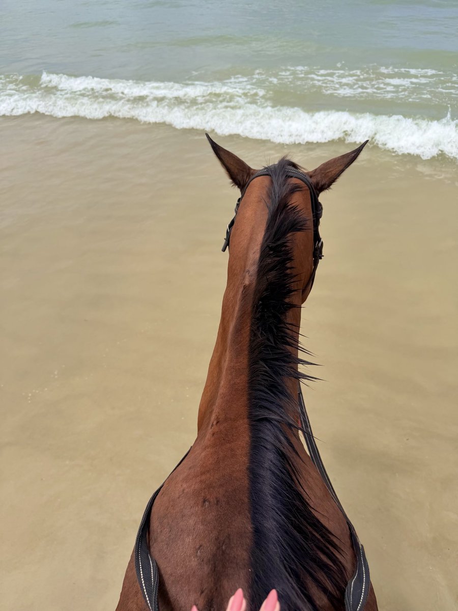 s (@stunnywoman) on Twitter photo 