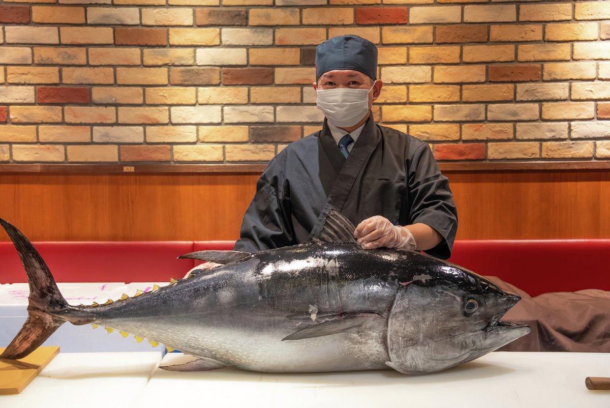 あまがっぱずし様❤  リクエストオーダー3月分ご予約① あまがっぱずし様❤ リクエストオーダー3月分ご予約① かっぱ寿司