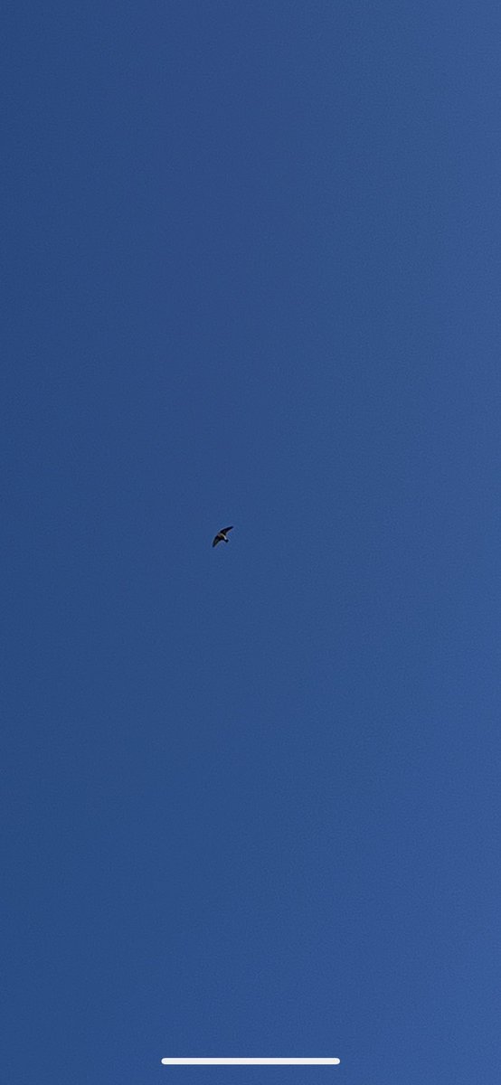 Rob Black 🔺 tweet media