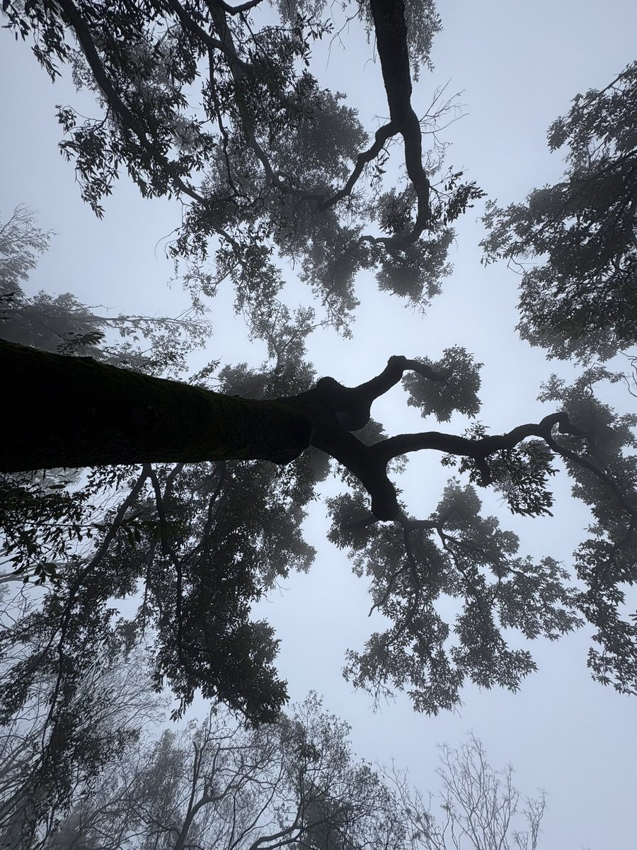 普通猫 (@ykq315) on Twitter photo 