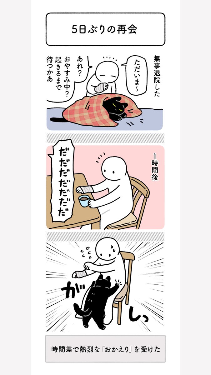 私が入院・退院したときのろんさん
ねこも人間もさみしさが爆発していた 