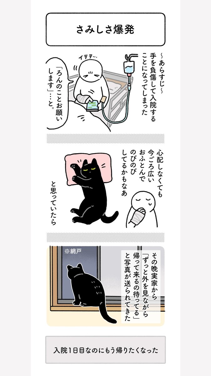 私が入院・退院したときのろんさん
ねこも人間もさみしさが爆発していた 