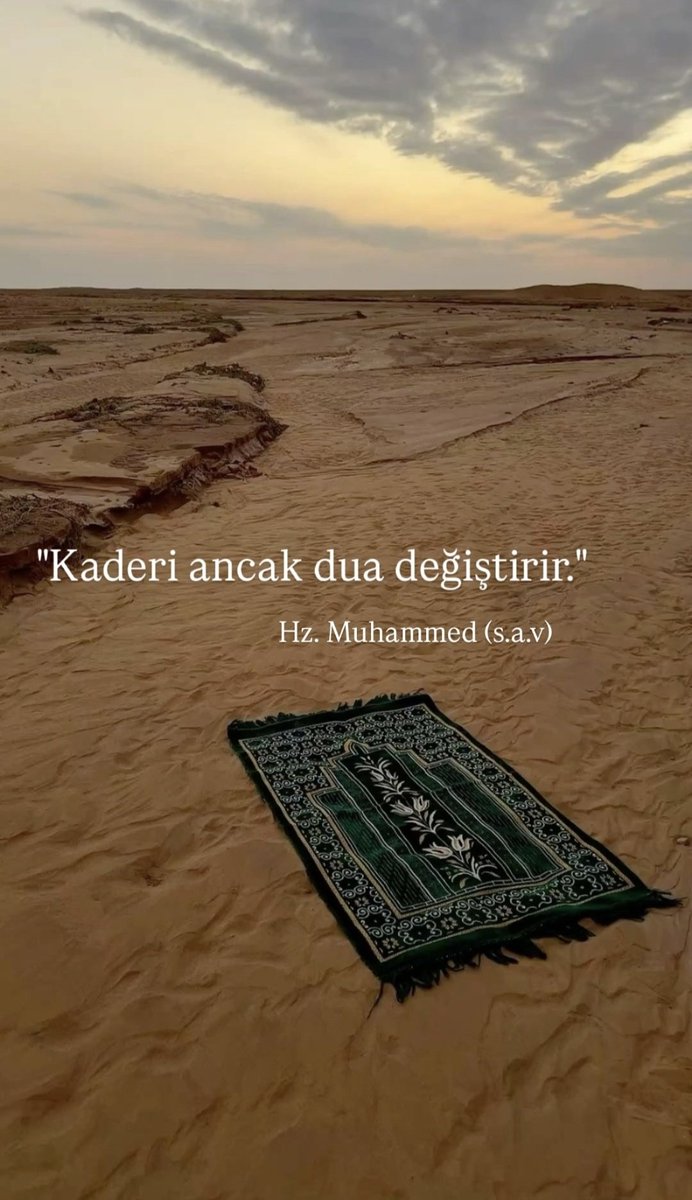 Hz. Muhammed (s.a.v)