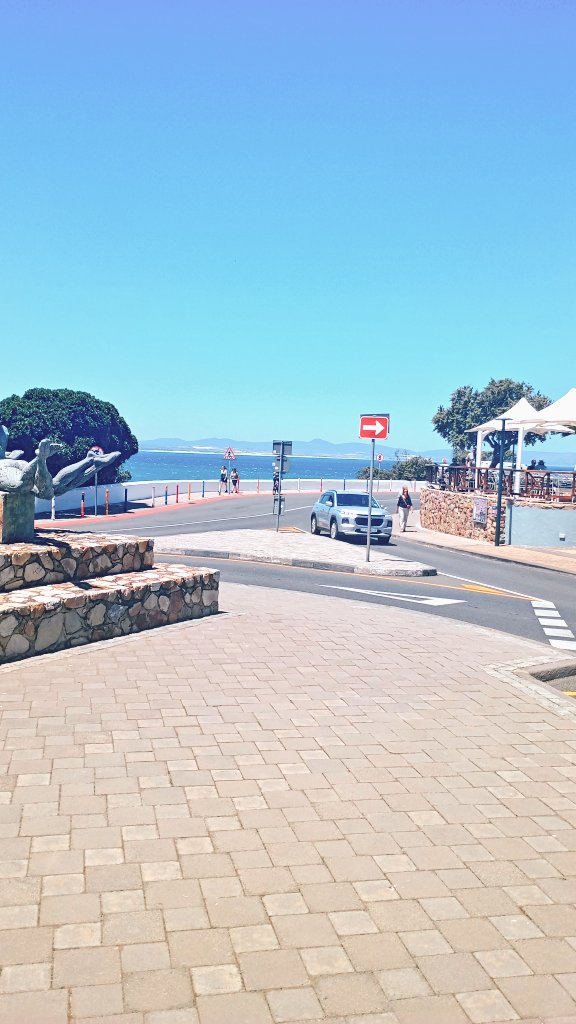 Nkosi Scott tweet media