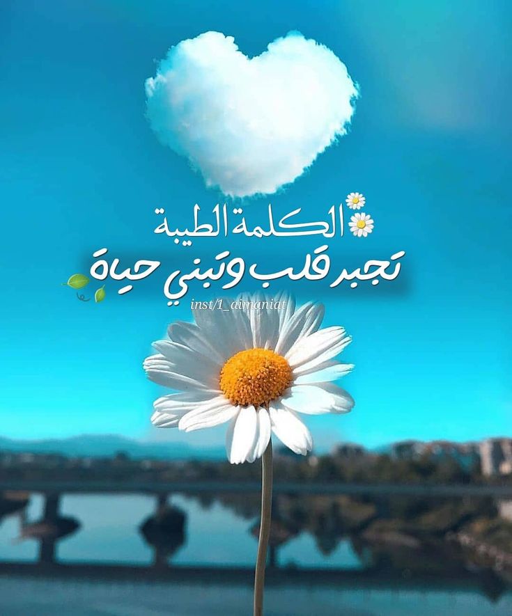 القلوب مزارع 💚
 فازرع فيها الكلمة الطيبة 
فإن لم تتمتع بثمرها تمتع بخضرتها 
فمن غرس في قلبه حب الخير للناس أزهرت له قلوب الناس محبةً ووفاءاً
❤️🤍❤️🤍❤️