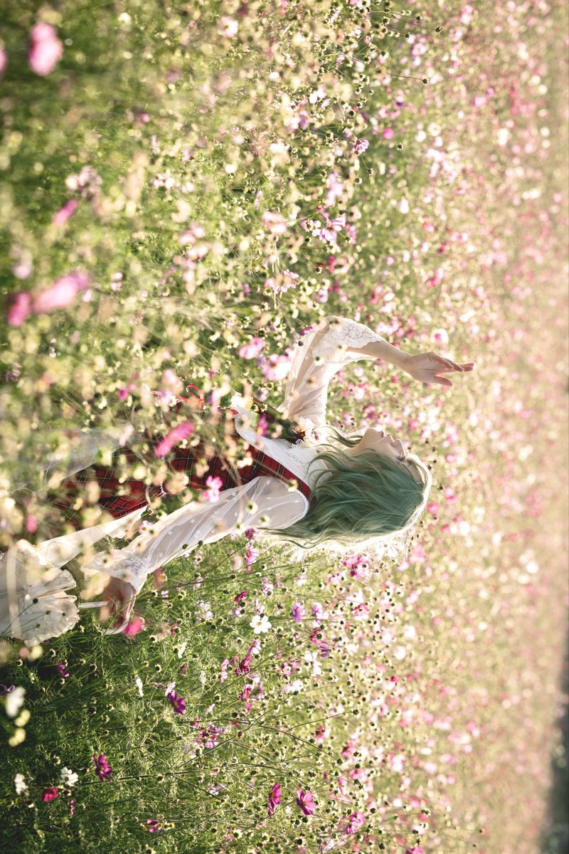 のこのこ。紫陽花リクエスト7点 ZERO 0 on X